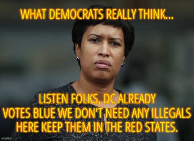DC Doesn't Need the Votes | WHAT DEMOCRATS REALLY THINK... LISTEN FOLKS, DC ALREADY VOTES BLUE WE DON'T NEED ANY ILLEGALS HERE KEEP THEM IN THE RED STATES. | image tagged in memes,funny,illegal immigration,liberals,liberal hypocrisy,democrats | made w/ Imgflip meme maker