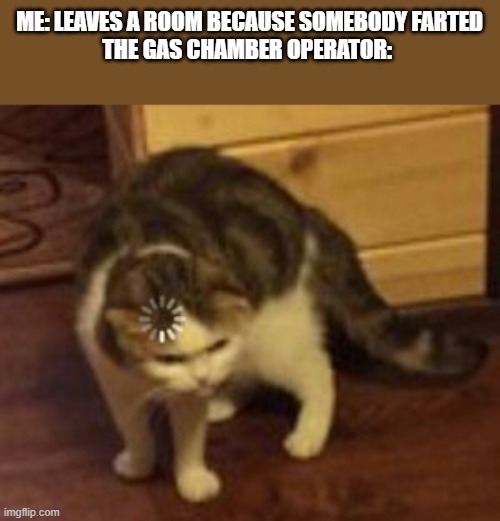 Loading cat | ME: LEAVES A ROOM BECAUSE SOMEBODY FARTED
THE GAS CHAMBER OPERATOR: | image tagged in loading cat | made w/ Imgflip meme maker