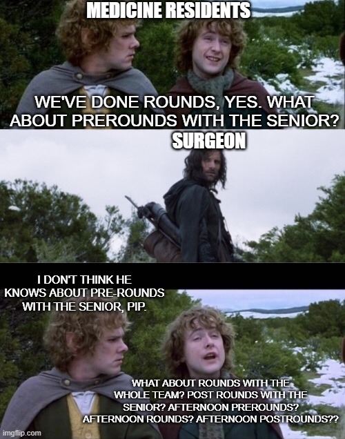 Pippin Second Breakfast | MEDICINE RESIDENTS; WE'VE DONE ROUNDS, YES. WHAT ABOUT PREROUNDS WITH THE SENIOR? SURGEON; I DON'T THINK HE KNOWS ABOUT PRE-ROUNDS WITH THE SENIOR, PIP. WHAT ABOUT ROUNDS WITH THE WHOLE TEAM? POST ROUNDS WITH THE SENIOR? AFTERNOON PREROUNDS? AFTERNOON ROUNDS? AFTERNOON POSTROUNDS?? | image tagged in pippin second breakfast,Residency | made w/ Imgflip meme maker