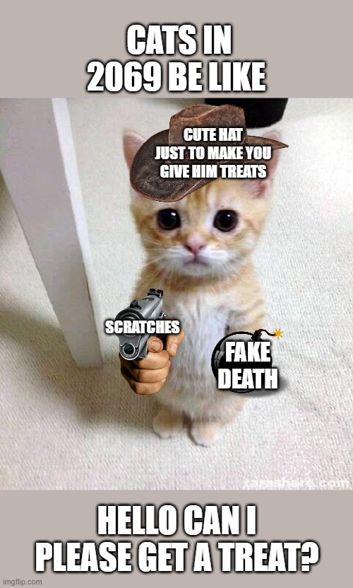 Cute Cat | CATS IN 2069 BE LIKE; CUTE HAT JUST TO MAKE YOU GIVE HIM TREATS; SCRATCHES; FAKE DEATH; HELLO CAN I PLEASE GET A TREAT? | image tagged in memes,cute cat | made w/ Imgflip meme maker