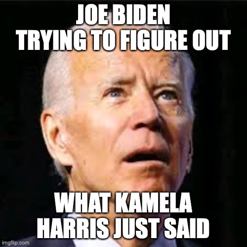 Joe Biden Figuring Harris Out | JOE BIDEN TRYING TO FIGURE OUT; WHAT KAMELA HARRIS JUST SAID | image tagged in joe biden,kamela harris | made w/ Imgflip meme maker