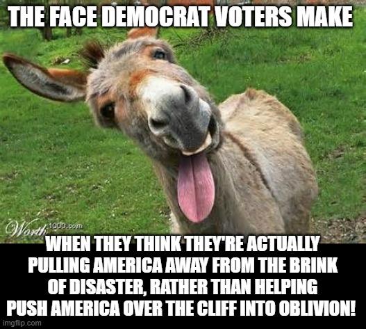 A Face Only A Democrat Could Love | THE FACE DEMOCRAT VOTERS MAKE; WHEN THEY THINK THEY'RE ACTUALLY PULLING AMERICA AWAY FROM THE BRINK OF DISASTER, RATHER THAN HELPING PUSH AMERICA OVER THE CLIFF INTO OBLIVION! | image tagged in laughing donkey,democrats,stupidity,memes,so true,jackass | made w/ Imgflip meme maker