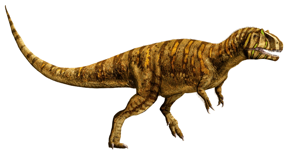 Metriacanthosaurus 3 (Website Design) Blank Meme Template