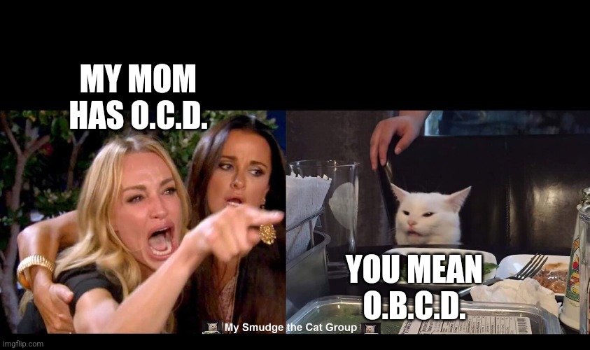 MY MOM HAS O.C.D. YOU MEAN O.B.C.D. | image tagged in smudge the cat | made w/ Imgflip meme maker
