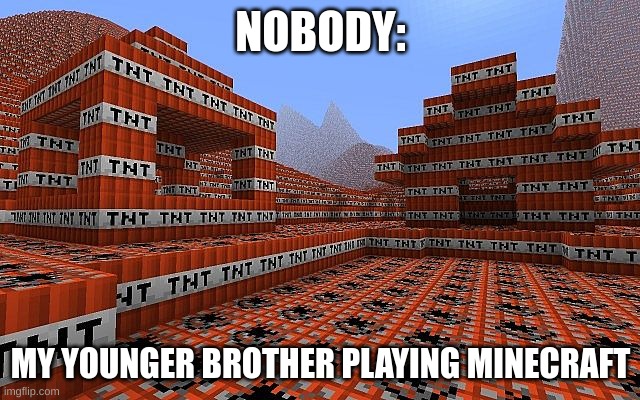 Minecraft TNT | NOBODY:; MY YOUNGER BROTHER PLAYING MINECRAFT | image tagged in minecraft | made w/ Imgflip meme maker