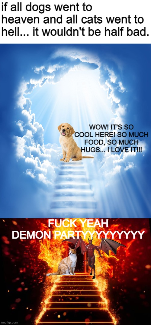 it's not half bad, yknow what im saying | if all dogs went to heaven and all cats went to hell... it wouldn't be half bad. WOW! IT'S SO COOL HERE! SO MUCH FOOD, SO MUCH HUGS... I LOVE IT!!! FUCK YEAH DEMON PARTYYYYYYYYY | image tagged in who_am_i would def make this | made w/ Imgflip meme maker