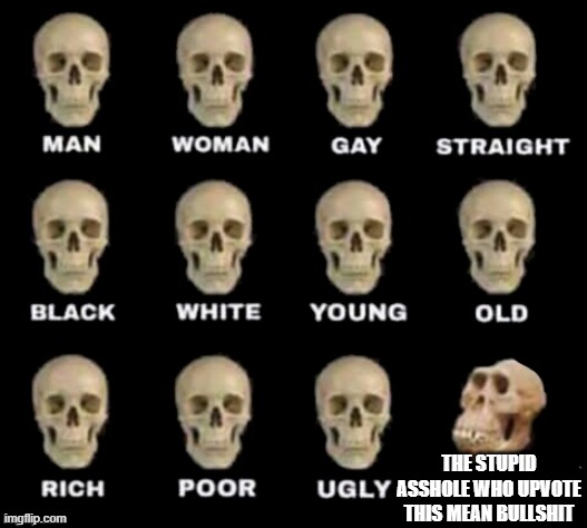 idiot skull | THE STUPID ASSHOLE WHO UPVOTE THIS MEAN BULLSHIT | image tagged in idiot skull | made w/ Imgflip meme maker