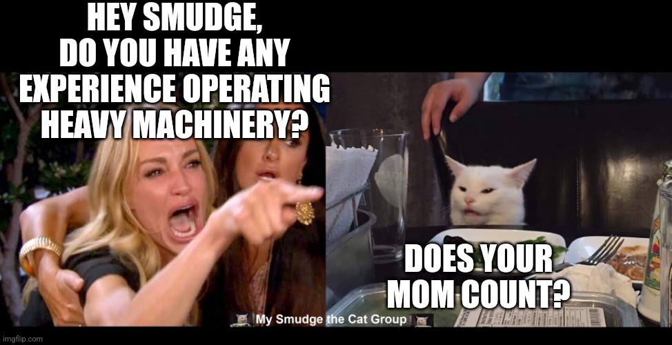  HEY SMUDGE, DO YOU HAVE ANY EXPERIENCE OPERATING HEAVY MACHINERY? DOES YOUR MOM COUNT? | image tagged in smudge the cat | made w/ Imgflip meme maker