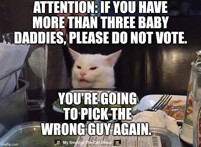  ATTENTION: IF YOU HAVE MORE THAN THREE BABY DADDIES, PLEASE DO NOT VOTE. YOU'RE GOING TO PICK THE WRONG GUY AGAIN. | image tagged in smudge the cat | made w/ Imgflip meme maker