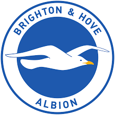Brighton and hove Albion Blank Meme Template