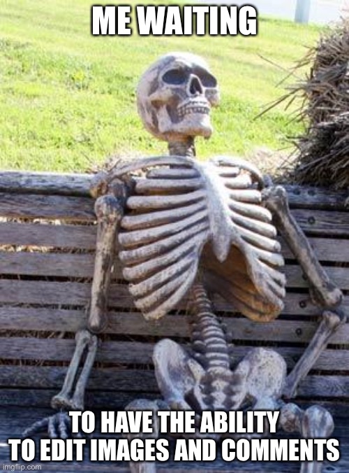 Why doesnt this exist | ME WAITING; TO HAVE THE ABILITY TO EDIT IMAGES AND COMMENTS | image tagged in memes,waiting skeleton | made w/ Imgflip meme maker