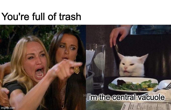 Woman Yelling At Cat Meme | You're full of trash; I'm the central vacuole | image tagged in memes,woman yelling at cat | made w/ Imgflip meme maker