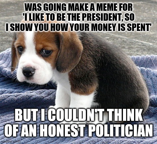 sad dog | WAS GOING MAKE A MEME FOR 'I LIKE TO BE THE PRESIDENT, SO I SHOW YOU HOW YOUR MONEY IS SPENT' BUT I COULDN'T THINK OF AN HONEST POLITICIAN | image tagged in sad dog | made w/ Imgflip meme maker