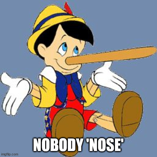 Pinocchio | NOBODY 'NOSE' | image tagged in pinocchio | made w/ Imgflip meme maker