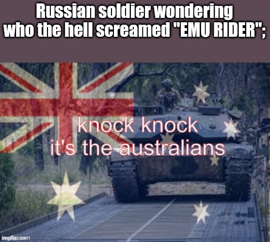 knock knock its the Australians (credit to dipshit.) | Russian soldier wondering who the hell screamed "EMU RIDER"; | image tagged in knock knock its the australians credit to dipshit | made w/ Imgflip meme maker