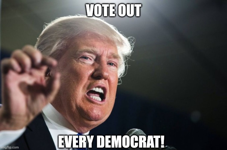 donald trump | VOTE OUT EVERY DEMOCRAT! | image tagged in donald trump | made w/ Imgflip meme maker