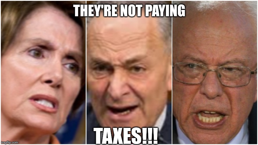 Trump Derangement Syndrome | THEY'RE NOT PAYING TAXES!!! | image tagged in trump derangement syndrome | made w/ Imgflip meme maker