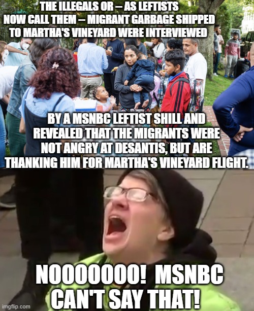 The actual truth hurts, doesn't it leftists? | THE ILLEGALS OR -- AS LEFTISTS NOW CALL THEM -- MIGRANT GARBAGE SHIPPED TO MARTHA'S VINEYARD WERE INTERVIEWED; BY A MSNBC LEFTIST SHILL AND REVEALED THAT THE MIGRANTS WERE NOT ANGRY AT DESANTIS, BUT ARE THANKING HIM FOR MARTHA'S VINEYARD FLIGHT. NOOOOOOO!  MSNBC CAN'T SAY THAT! | image tagged in truth | made w/ Imgflip meme maker