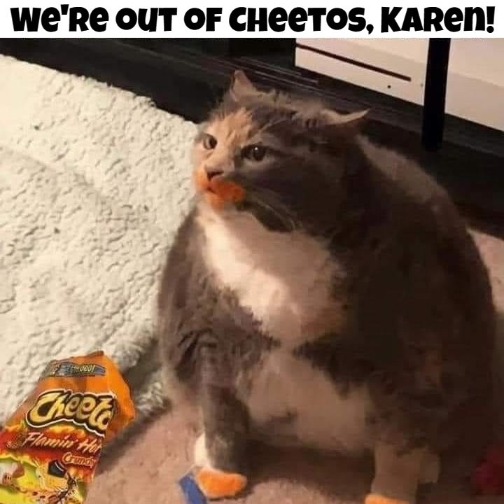We're out of Cheetos, Karen! | image tagged in fat cat,catturd,karen,cheetos,smudge,obesity | made w/ Imgflip meme maker