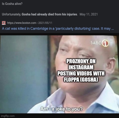 PROZHONY ON INSTAGRAM POSTING VIDEOS WITH FLOPPA (GOSHA) | image tagged in am i a joke to you | made w/ Imgflip meme maker