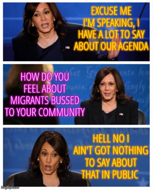 Kamala Speechless | EXCUSE ME I'M SPEAKING, I HAVE A LOT TO SAY
ABOUT OUR AGENDA; HOW DO YOU FEEL ABOUT MIGRANTS BUSSED TO YOUR COMMUNITY; HELL NO I AIN'T GOT NOTHING TO SAY ABOUT THAT IN PUBLIC | image tagged in kamala vp debate question,kamala harris,memes,funny,liberals,democrats | made w/ Imgflip meme maker