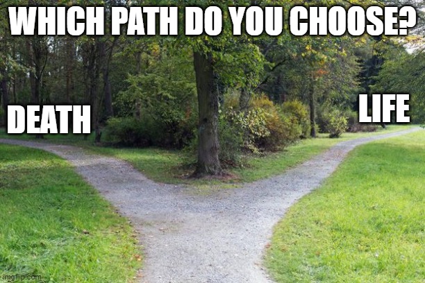 Life choices- which path do you choose?  Life or Death |  WHICH PATH DO YOU CHOOSE? DEATH; LIFE | image tagged in fork in the road path of life choice,life,death,choice,decision | made w/ Imgflip meme maker