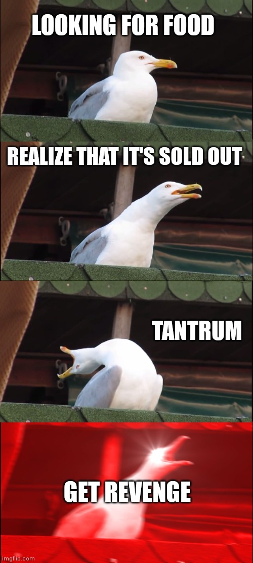 Inhaling seagull | LOOKING FOR FOOD; REALIZE THAT IT'S SOLD OUT; TANTRUM; GET REVENGE | image tagged in memes,inhaling seagull,funny memes | made w/ Imgflip meme maker