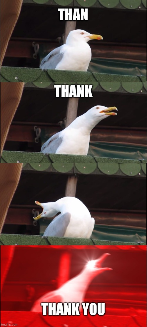 Inhaling Seagull | THAN; THANK; THANK YOU | image tagged in memes,inhaling seagull | made w/ Imgflip meme maker