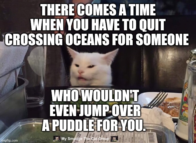  THERE COMES A TIME WHEN YOU HAVE TO QUIT CROSSING OCEANS FOR SOMEONE; WHO WOULDN'T EVEN JUMP OVER A PUDDLE FOR YOU. | image tagged in smudge the cat | made w/ Imgflip meme maker