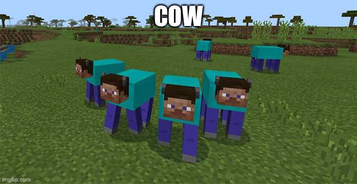 cow | COW | image tagged in me and the boys | made w/ Imgflip meme maker