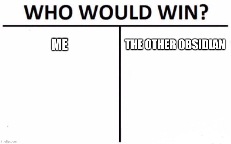 me or obsidian | ME; THE OTHER OBSIDIAN | image tagged in memes,who would win | made w/ Imgflip meme maker