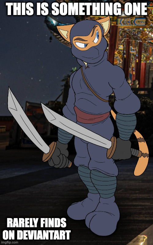 OC Furry Ninja (Credit to How-Did-We-Get-Here on Deviantart) | THIS IS SOMETHING ONE; RARELY FINDS ON DEVIANTART | image tagged in ninja,memes,furry | made w/ Imgflip meme maker