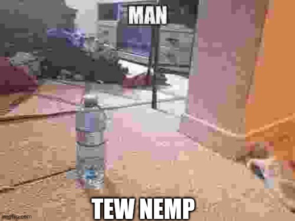 New temp | TEW NEMP | image tagged in man | made w/ Imgflip meme maker