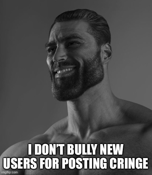 Giga Chad | I DON’T BULLY NEW USERS FOR POSTING CRINGE | image tagged in giga chad | made w/ Imgflip meme maker