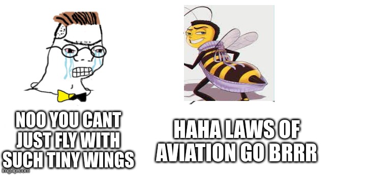 MY TURN |  NOO YOU CANT JUST FLY WITH SUCH TINY WINGS; HAHA LAWS OF AVIATION GO BRRR | image tagged in nooo haha go brrr | made w/ Imgflip meme maker