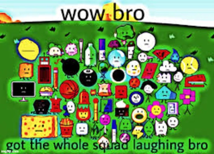 wow bro got the whole squad laughing bro | image tagged in wow bro got the whole squad laughing bro | made w/ Imgflip meme maker
