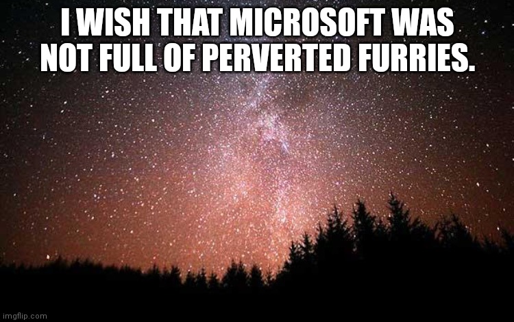 Night Sky | I WISH THAT MICROSOFT WAS NOT FULL OF PERVERTED FURRIES. | image tagged in night sky | made w/ Imgflip meme maker