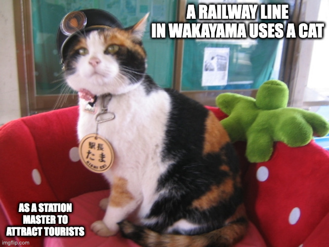 Tama the Station Master | A RAILWAY LINE IN WAKAYAMA USES A CAT; AS A STATION MASTER TO ATTRACT TOURISTS | image tagged in cats,memes | made w/ Imgflip meme maker