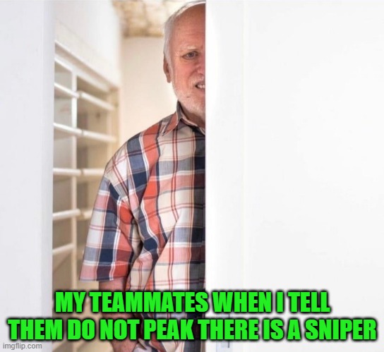 do you have teammates like this? | MY TEAMMATES WHEN I TELL THEM DO NOT PEAK THERE IS A SNIPER | image tagged in meme | made w/ Imgflip meme maker