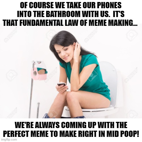 Serious Business, Making Memes Is... | OF COURSE WE TAKE OUR PHONES INTO THE BATHROOM WITH US.  IT'S THAT FUNDAMENTAL LAW OF MEME MAKING... WE'RE ALWAYS COMING UP WITH THE PERFECT MEME TO MAKE RIGHT IN MID POOP! | image tagged in pretty girl on toilet,memes,pooping,humor,bathroom humor,so true | made w/ Imgflip meme maker