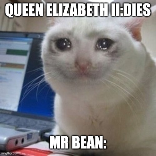 Sad | QUEEN ELIZABETH II:DIES; MR BEAN: | image tagged in crying cat | made w/ Imgflip meme maker