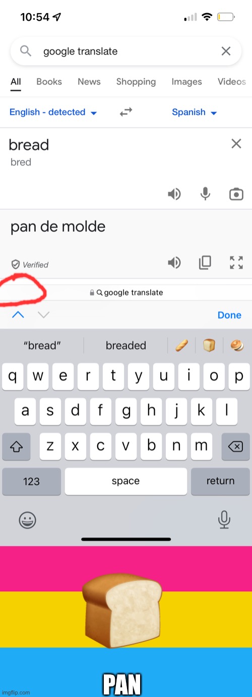 Bread = pan | PAN | image tagged in pansexual,bread | made w/ Imgflip meme maker
