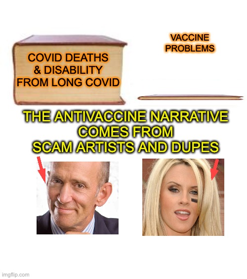 A movement of snake oil merchants exploiting parents' pain and fears: SHAME! | COVID DEATHS
& DISABILITY
FROM LONG COVID; VACCINE
PROBLEMS; THE ANTIVACCINE NARRATIVE
COMES FROM
SCAM ARTISTS AND DUPES | image tagged in two books,vaccine,lies,scam,snake oil,antivax | made w/ Imgflip meme maker
