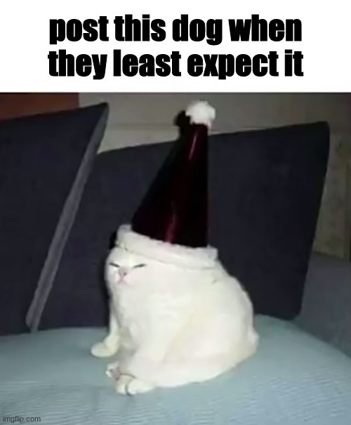 post this dog | made w/ Imgflip meme maker