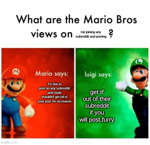 Mario vs luigi | me joining any subreddit and posting; It's fine to post on any subreddit and mods shouldn't get rid of your post for no reason; get tf out of their subreddit if you will post,furry | image tagged in mario vs luigi | made w/ Imgflip meme maker