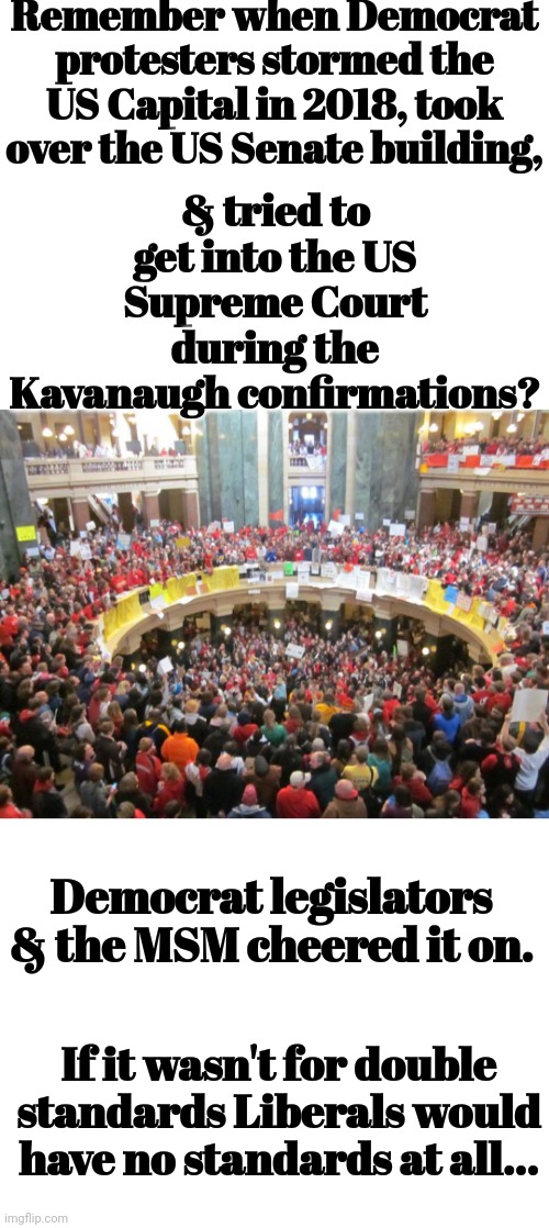 If It Wasn't For Double Standards Liberals Would Have No Standards At All... | Remember when Democrat protesters stormed the US Capital in 2018, took over the US Senate building, & tried to get into the US Supreme Court during the Kavanaugh confirmations? Democrat legislators & the MSM cheered it on. If it wasn't for double standards Liberals would have no standards at all... | image tagged in liberals,double standards,hypocrites,cheerleaders,riots | made w/ Imgflip meme maker