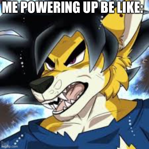 art by BrunoTheWolgon | ME POWERING UP BE LIKE: | image tagged in ultra instinct,furry,ultra instinct furry | made w/ Imgflip meme maker