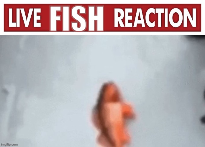 FISH | image tagged in live x reaction | made w/ Imgflip meme maker