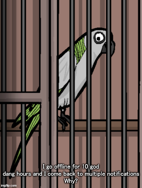 Bird on crack | I go offline for 10 god dang hours and I come back to multiple notifications
Why? | image tagged in bird on crack | made w/ Imgflip meme maker