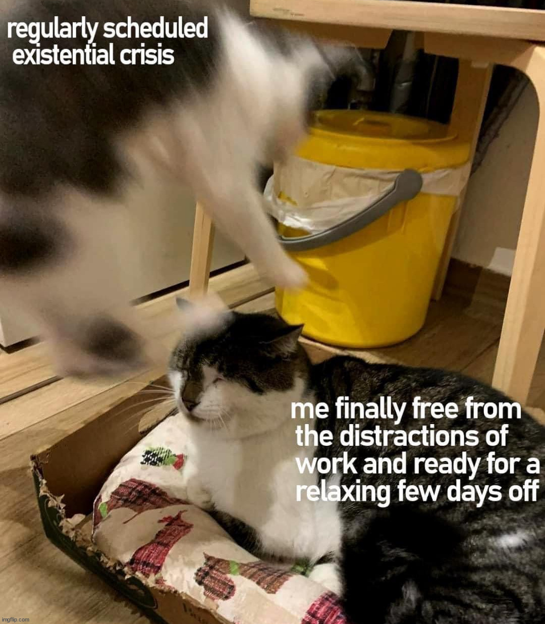 Always seems to happen on my day off | image tagged in depression | made w/ Imgflip meme maker